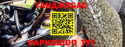 сатива Коммунар