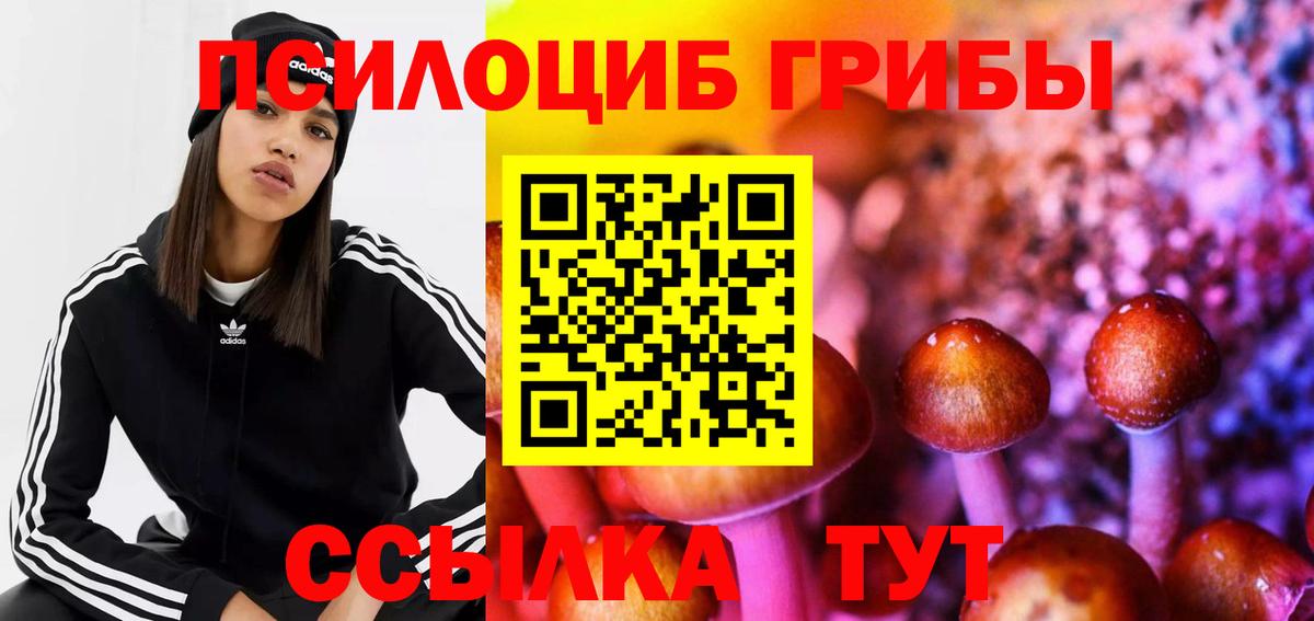 Арсеньев  Псилоцибиновые грибы прущие грибы  Псилоцибиновые грибы MAGIC MUSHROOMS  Вход с VPN 